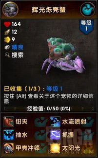 《魔兽世界》开服福利坐骑宠物速领攻略，解锁新体验！