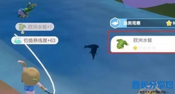 欧洲绿鸬鹚现踪揭秘，心动小镇探秘新亮点