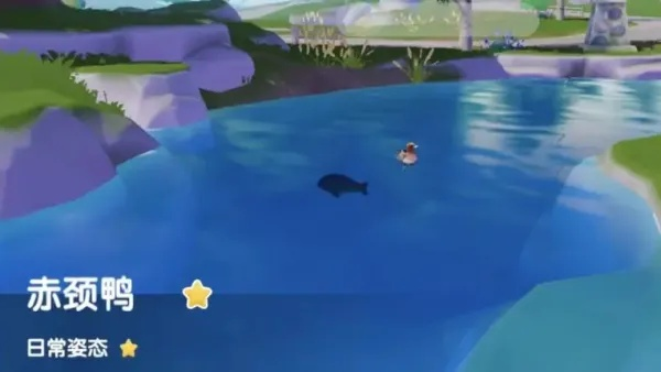《心动小镇》王绒鸭现身攻略，揭秘隐藏地点新玩法