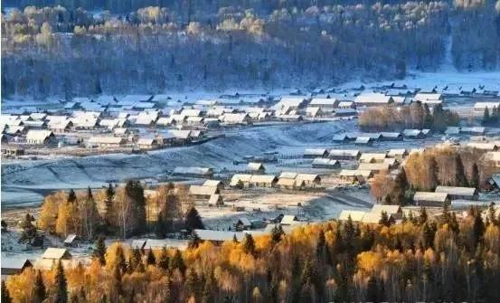 巨地鸠现踪揭秘，心动小镇探秘新亮点