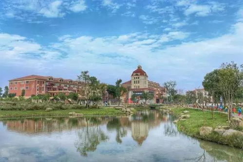 心动小镇探秘：文须雀栖息地大揭秘