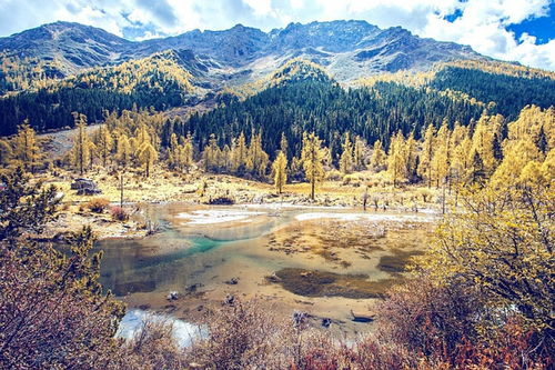 翠叶红颈凤蝶捕捉攻略：心动小镇新秘境揭晓