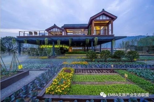 《心动小镇》长戟大兜虫捕捉攻略，一网打尽新技巧