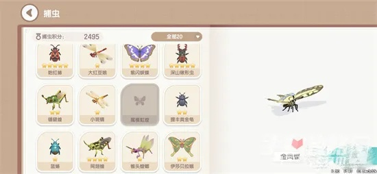 《心动小镇》捕捉秘籍：揭秘太阳闪蝶新踪迹