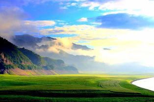 绿洲蝗捕捉攻略：心动小镇新秘境揭晓