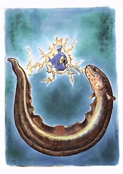 电鳗升级攻略：高效获取高等级电鳗秘籍