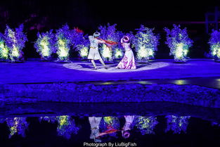 心动小镇红襟粉蝶捕捉攻略，探秘新技巧！