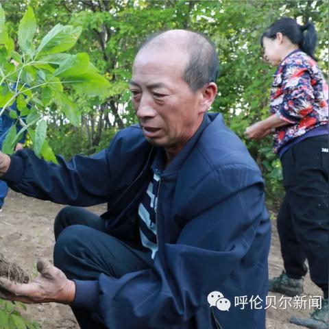 心动小镇农作物售价利润大揭秘，收益攻略全解析