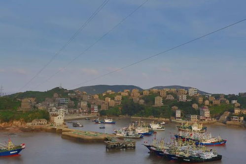 《心动小镇》海钓攻略：掌握技巧，收获满满鱼货攻略