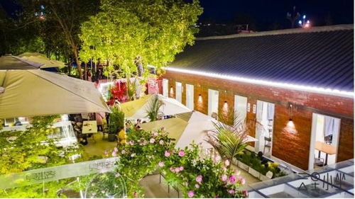 心动小镇庭院建造攻略：打造梦幻小庭院秘籍大公开