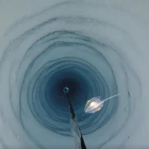 绝区零浮冰路线解析：安全通行与样本搜集技巧攻略深度揭秘