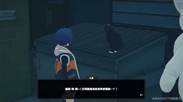 绝区零小黑领养攻略：六分街猫猫养成秘籍大公开