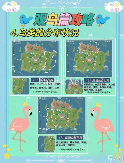 《心动小镇》探秘彩虹天观鸟攻略宝典