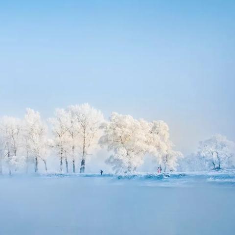 朵朵新动向揭秘：心动小镇7月21日独家位置分享