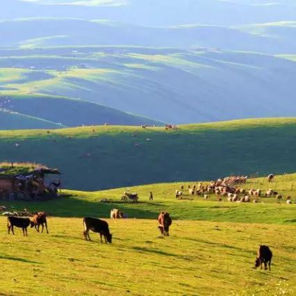 心动小镇刺臀鱼钓点揭秘，独家攻略助你一网打尽！