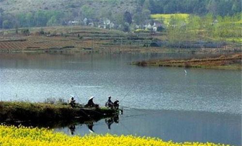 北欧鳌虾钓点揭秘：心动小镇独家捕捉秘境