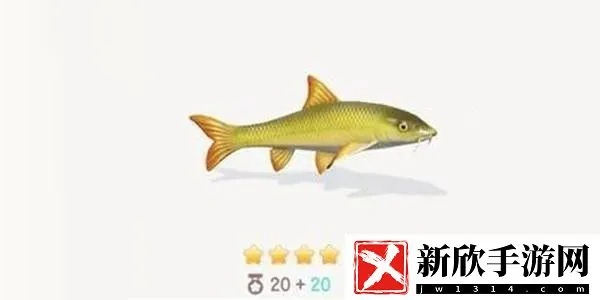 白梭吻鲈钓点揭秘：心动小镇独家秘境揭晓