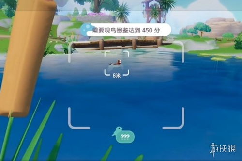 《心动小镇》观鸟拍照攻略：掌握高星技巧，轻松捕捉自然之美