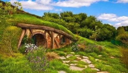 巨树环绕揭秘，心动小镇新奇探秘