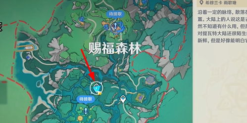 《原神》4.8荷叶冠军任务攻略：高效解锁新价值技巧解析