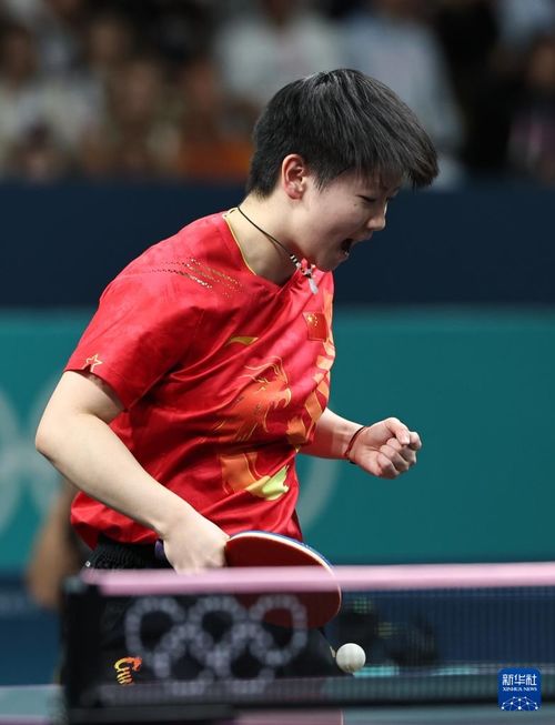2024巴黎奥运乒乓球国手阵容揭晓，竞技盛宴即将开启