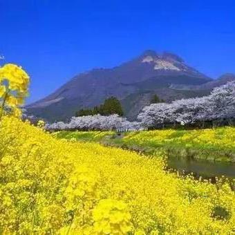 《心动小镇》新手攻略：解锁成长秘籍，轻松迈向高手之路