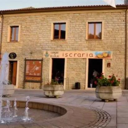 《心动小镇》新手攻略：快速开荒必备技巧解析