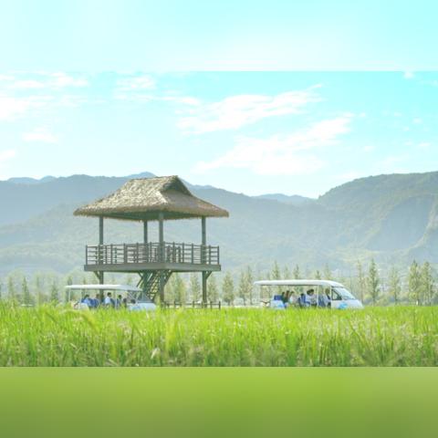 心动小镇攻略揭秘:新手必看常见问题解答大全 心动小镇攻略揭秘:新手必看常见问题解答大全