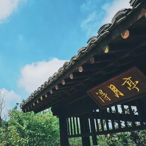 DNF手游套装解析：揭秘自然之力与天域套装独特魅力