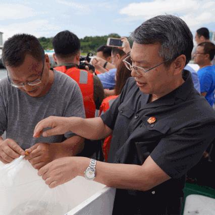 信念守护套装揭秘：手游DNF新价值力作解析