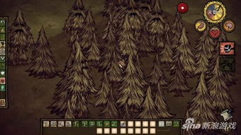 《饥荒》树精守卫高效刷树人攻略：砍树技巧大揭秘