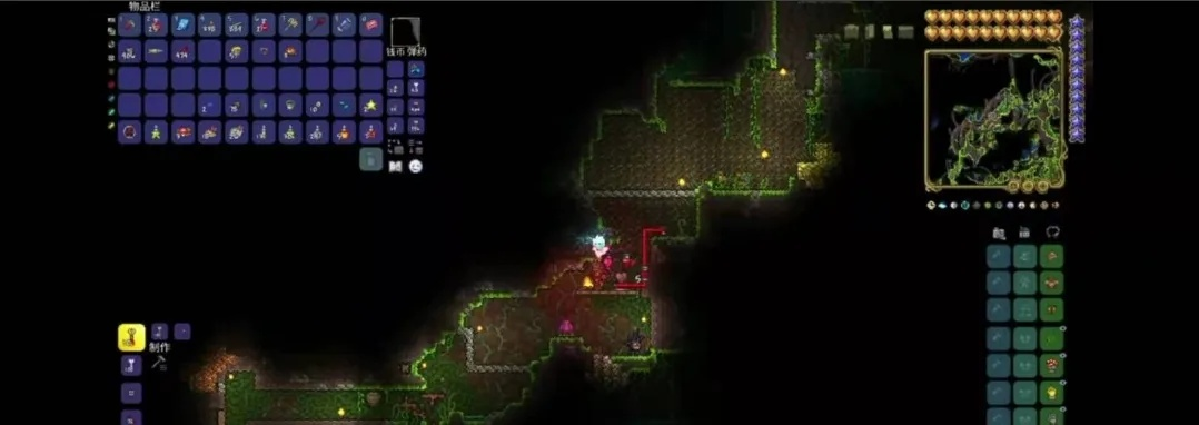 泰拉瑞亚世纪之花召唤攻略，解锁神秘新价值