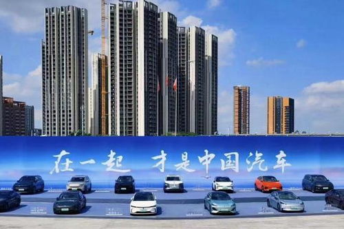 芭莱大厦前卡格车高效收集秘籍大公开