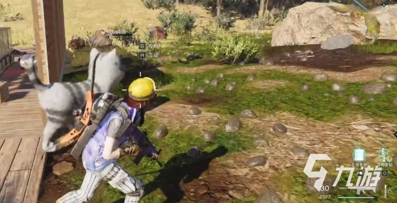 七日世界异维大猫攻略：轻松获取异维大猫新技巧