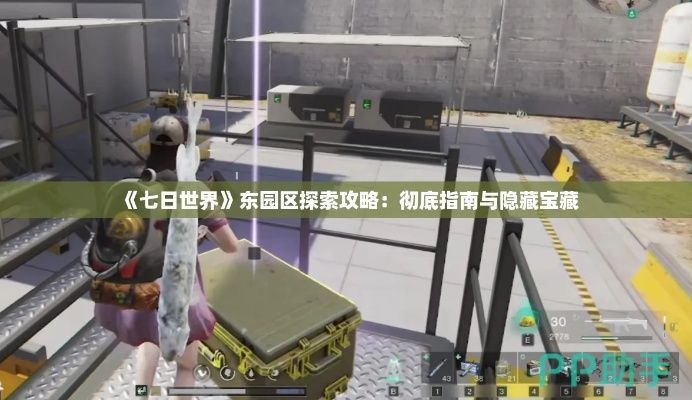 七日世界宝箱探秘攻略，高效收集新技巧揭秘
