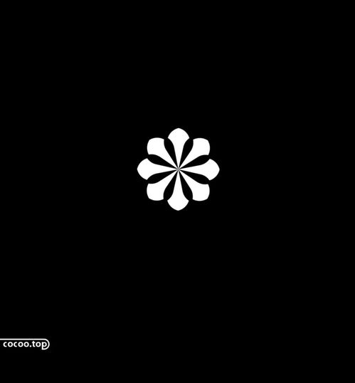 《绝区零》11号攻略：深度解析11号角色培养技巧与价值提升