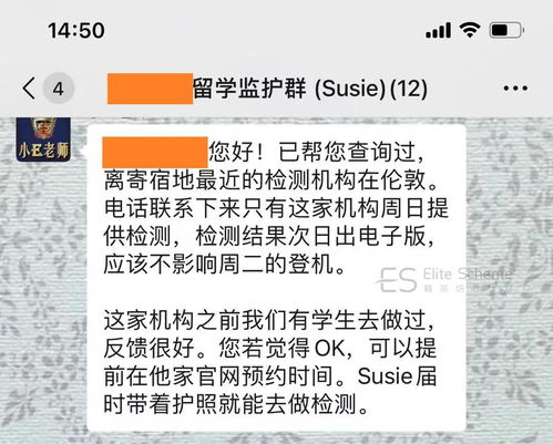 沙脂蛹高效采集攻略，一网打尽新技巧