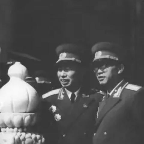 《植物大战僵尸杂交版》2.2版高效刷金攻略，解锁财富新境界