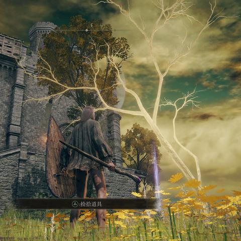 《艾尔登法环》DLC剧毒流黄金树之影，打造极致输出秘籍！