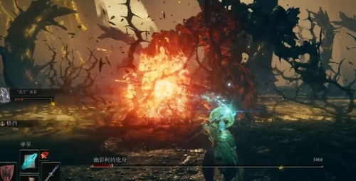 《艾尔登法环》DLC盾刺流BOSS攻略：黄金树之影全解析，高效战法一网打尽