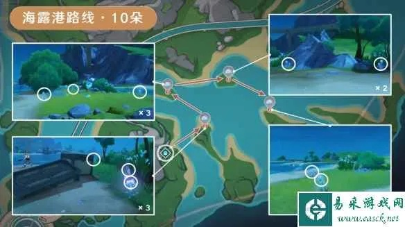 高效攻略！原神海露花采集路线全解析，一网打尽宝藏**新玩法**