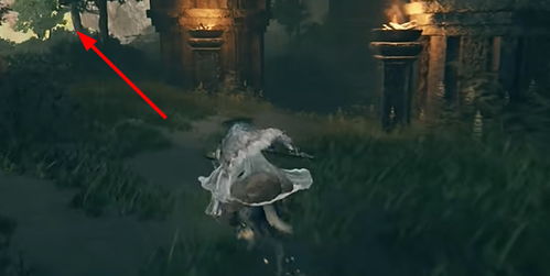 艾珀莉亚获取攻略：揭秘黄金树之影DLC高效获取法