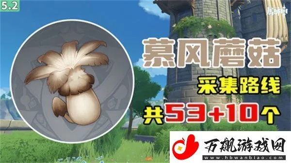 《原神》慕风蘑菇速采攻略，高效路线一网打尽！