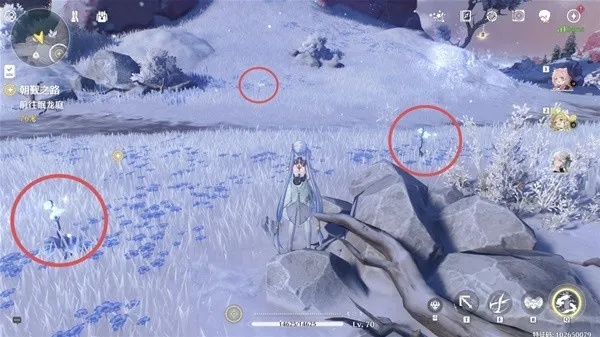 《鸣潮》今汐突破龙吐珠采集攻略，高效材料获取秘籍大公开