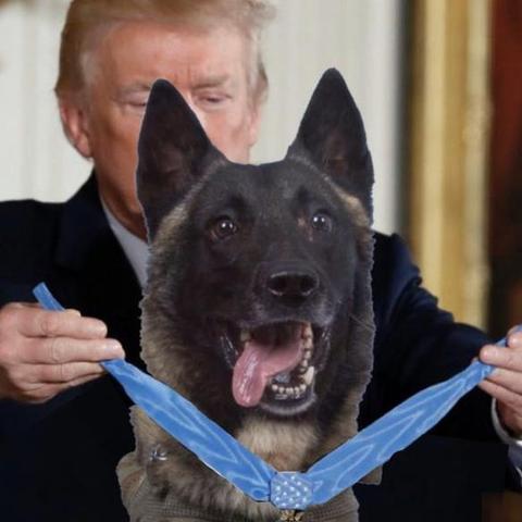 《三角洲行动》新手必看：全面战场攻略，掌握战术新优势