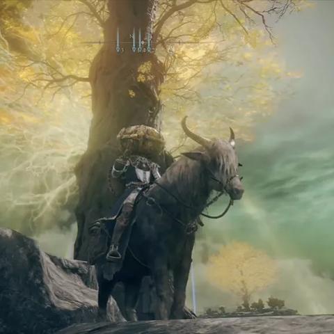 艾尔登法环DLC舞娘套获取攻略，轻松解锁黄金树之影新装