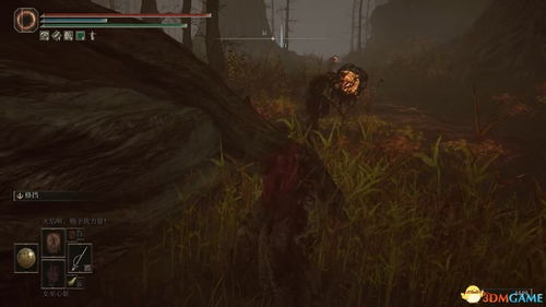 《艾尔登法环》DLC米德拉狂招解析：癫火之王攻略秘籍大揭秘