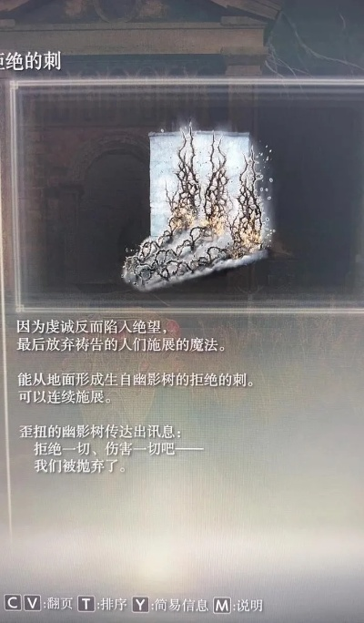 荆棘法师极限流配装解析：艾尔登法环黄金树之影DLC新攻略揭秘