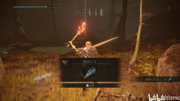 《艾尔登法环》DLC黄金树之影剑符攻略：高效获取与精准定位技巧