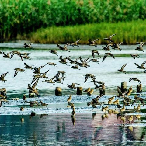 《三角洲行动》快速入门攻略，掌握核心技巧轻松上分！